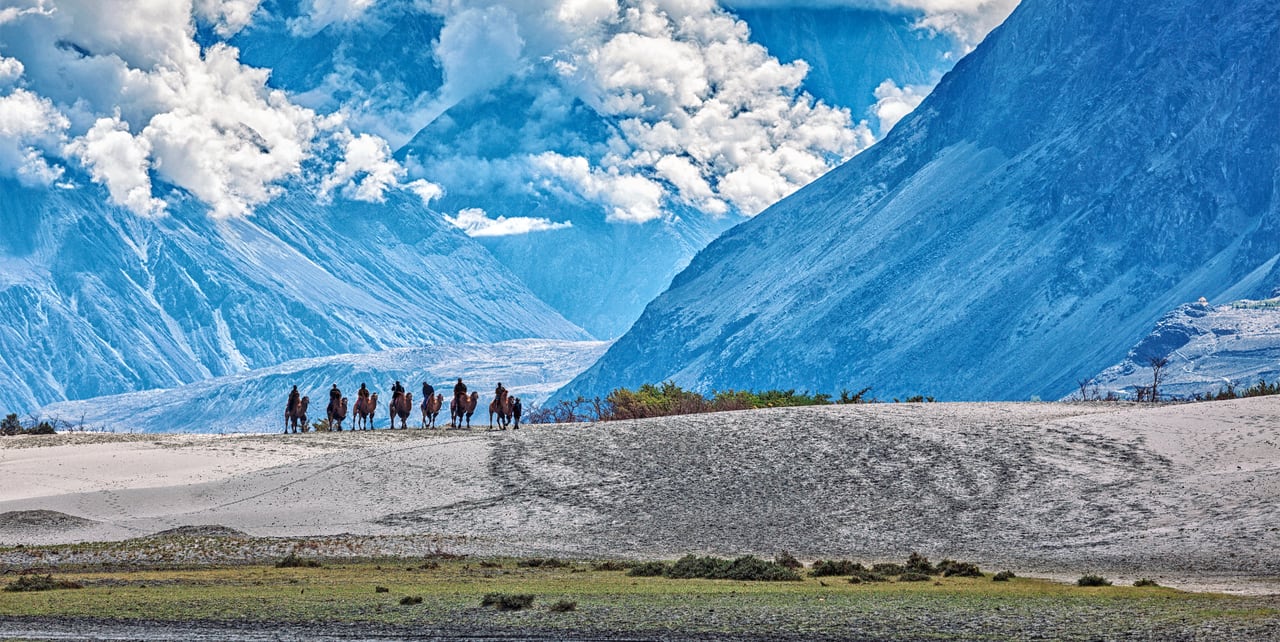 Ladakh Delight