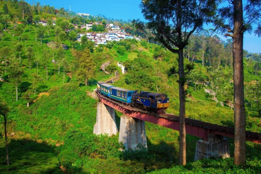 Kabini, Ooty and Coonoor Trip