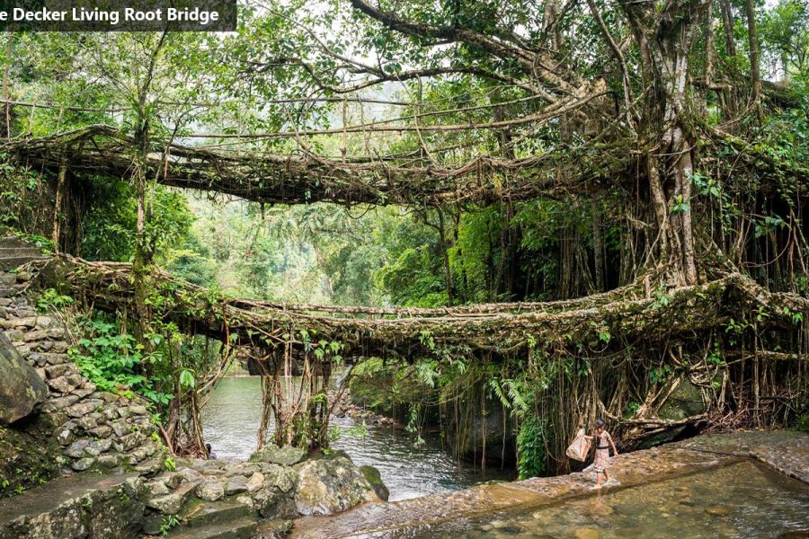 Mesmerizing Meghalaya