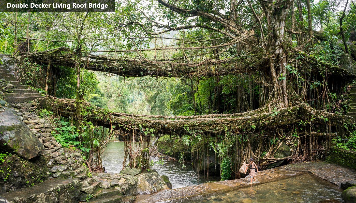 Mesmerizing Meghalaya