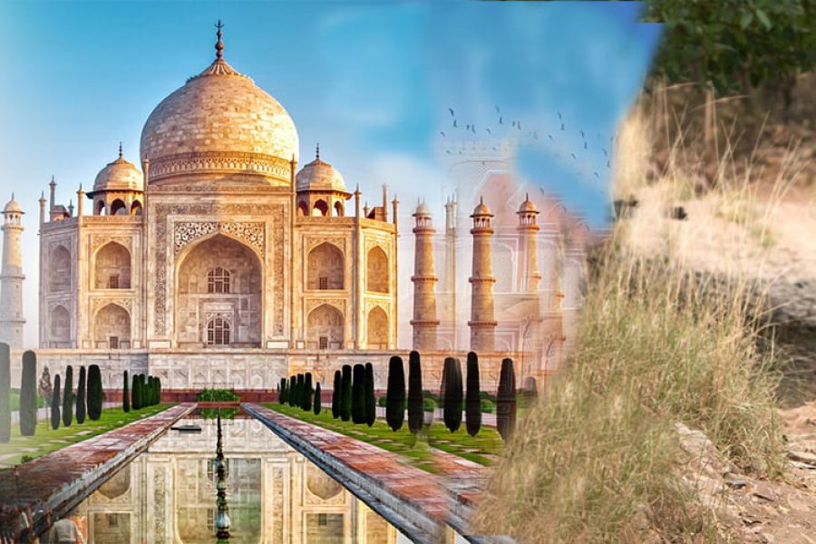 Indian Golden Triangle with Wildlife