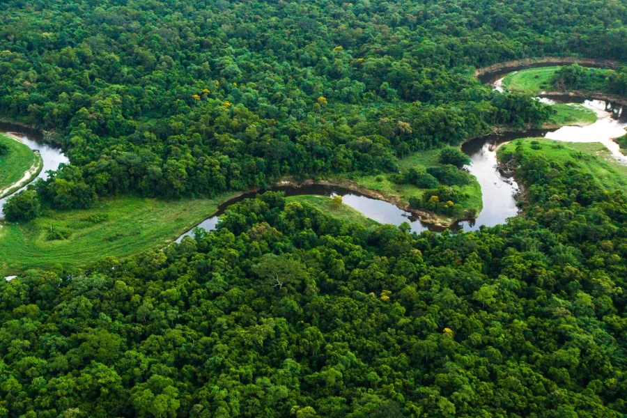 Best of Brazil & The Amazon