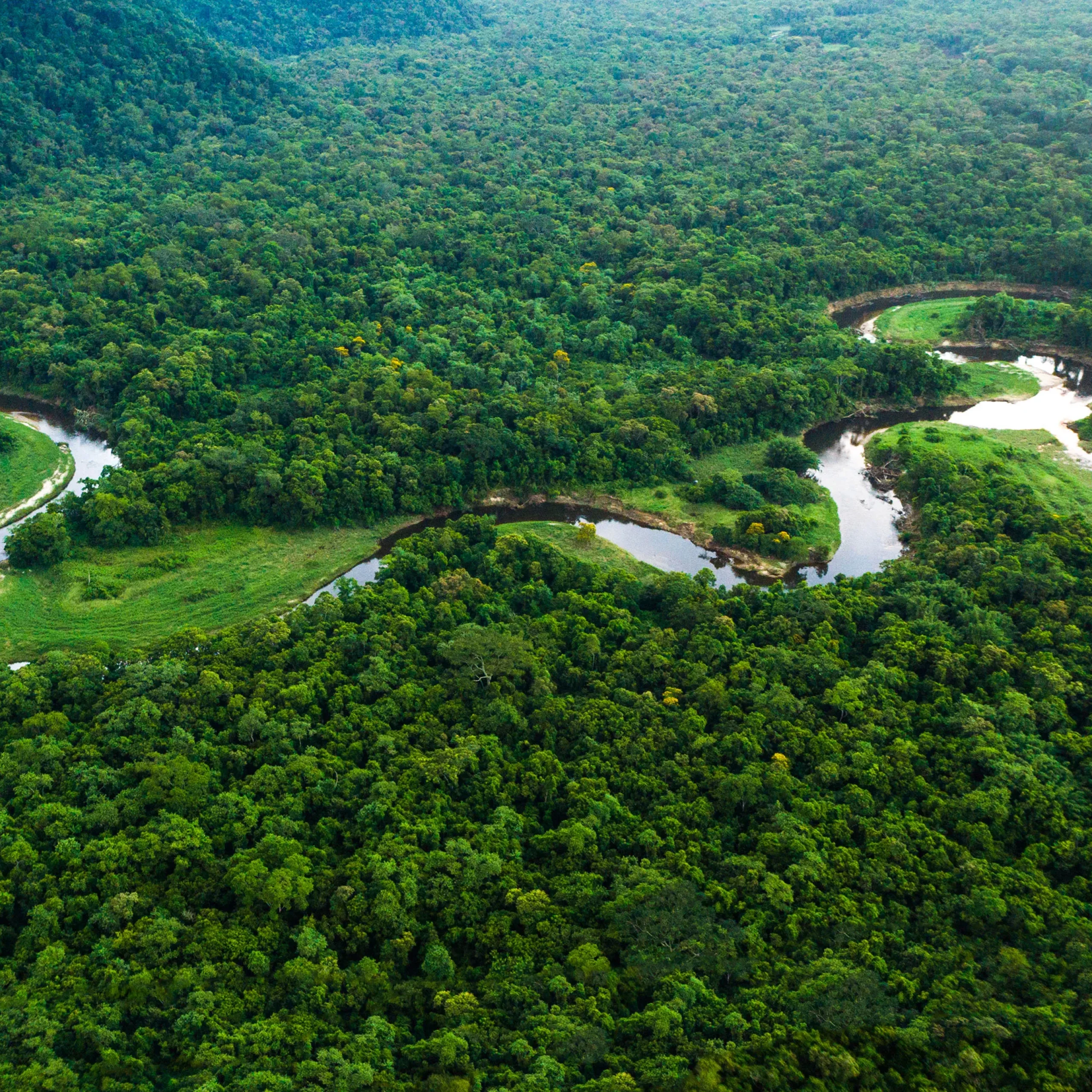 Best of Brazil & The Amazon