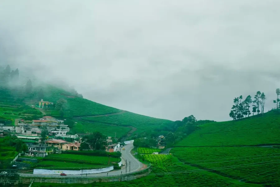 Ooty Kumarakom Tour