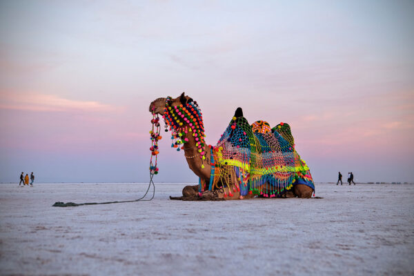 Kutch 05 Nights 06 Days (Bhuj, Rann Utsav, Mandvi)