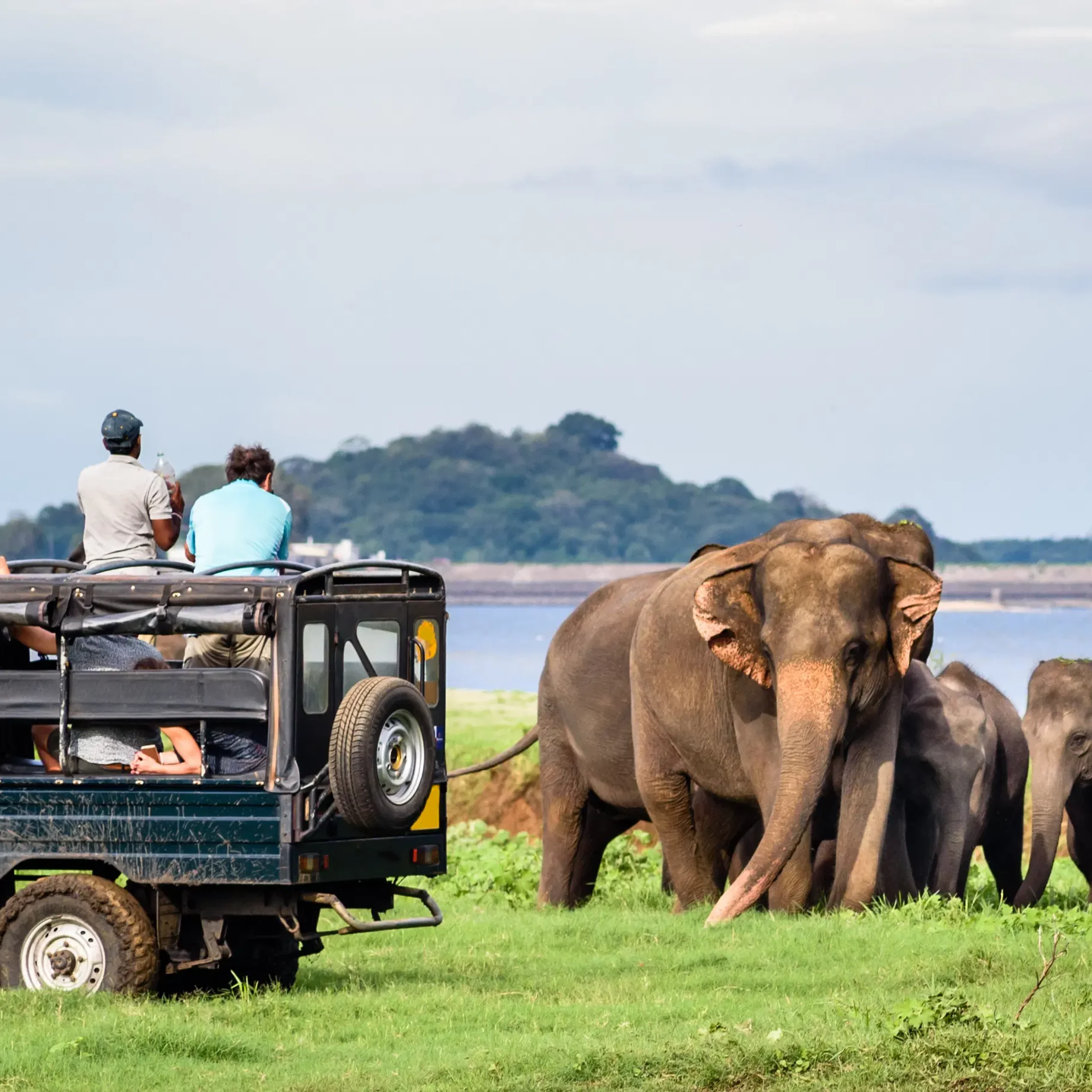 Day 04 : Bentota - Yala 