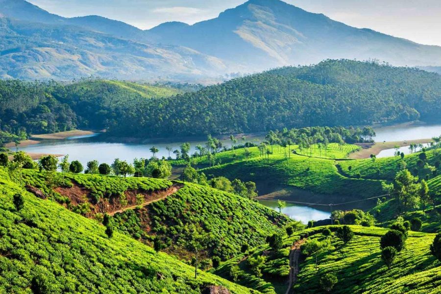 Southern Mountains and Wild life