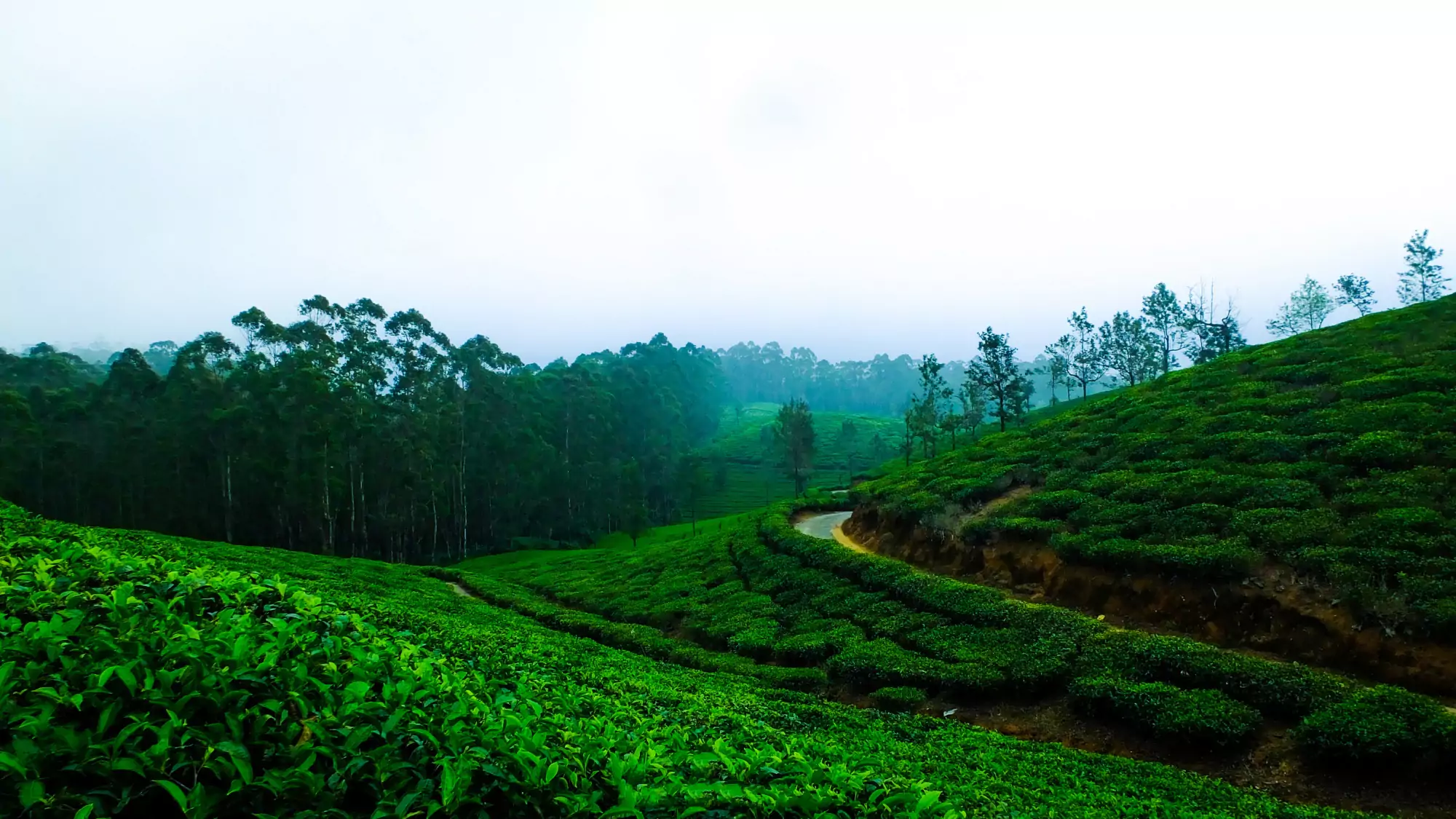 best places to visit in april in india