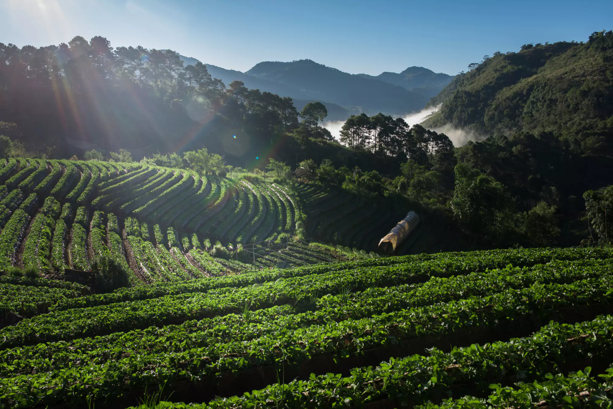 Best places to visit in june in india for couples