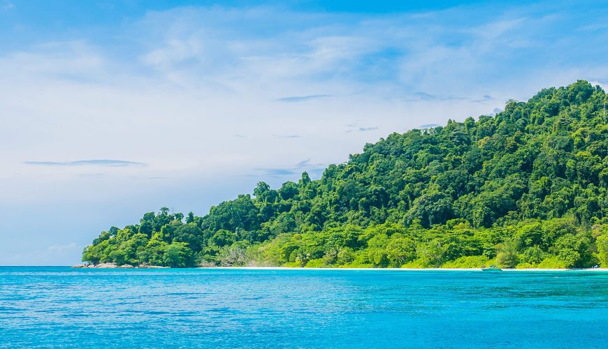 Best Beaches in Andaman