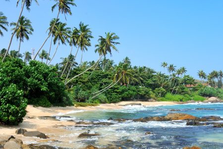 Top Beaches in Sri Lanka